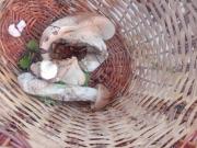 IMG-20250622-WA0004.jpg