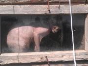IMG_20140807_125045.jpg