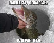 image (12).jpg