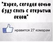 image (16).jpg