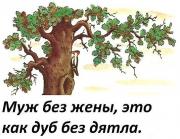 image (7).jpg