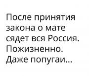 image (1).jpg