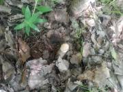 IMG-20250706-WA0007.jpg