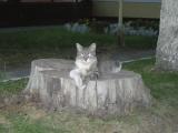 DSCN3317.JPG