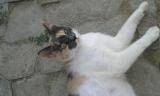20140805_092220.jpg