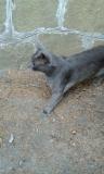 20140805_072737.jpg