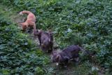 DSC05652.JPG