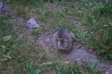 DSC05580.JPG
