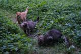 DSC05661.JPG
