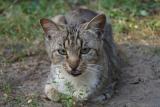 DSC05810.JPG