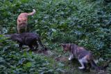 DSC05668.JPG