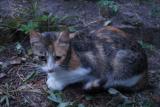 DSC06076.JPG