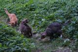DSC05650.JPG