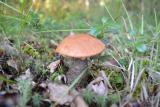 DSC_0596.JPG