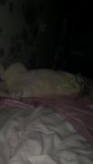 IMAG0937.jpg