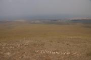 DSC02552.jpg