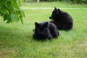 DSC07515.JPG