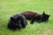DSC07497.JPG