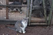 DSC07556.JPG