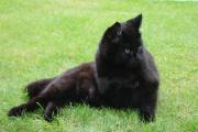 DSC07540.JPG