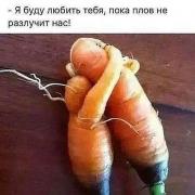 image (7).jpg