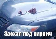 image (22).jpg