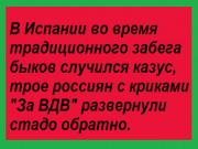 image (3).jpg