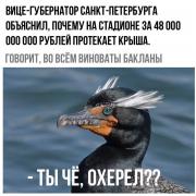 футбол зенит баклан херел.jpg