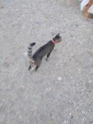 IMG_20200802_203753.jpg