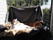 IMG_20200818_111329.jpg