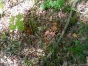 IMG-20250817-WA0018.jpg