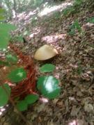 IMG-20250817-WA0021.jpg