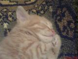 DSC06362.JPG