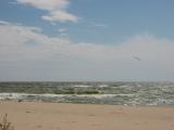 IMG_7850.JPG