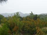 P1060041.JPG