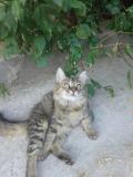 20140918_085816.jpg