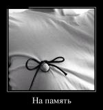 3864688_e4977fe0.jpg