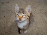DSC05928.jpg