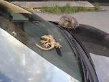 20140908_190359.jpg
