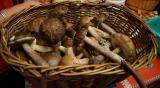 DSC06649.JPG