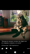 wp_ss_20160923_0002.png
