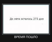 image (4).jpg