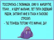 image (2).jpg