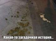 50.jpg