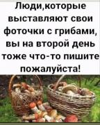 93337d1df6fb4960b4d95f8f4b36f4cf.jpg
