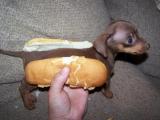 604x453_hot_dog.jpg