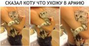 60f55721b7477c2cd965fc1d4b5eeb87.jpg