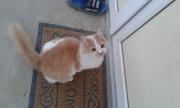 20160912_061248.jpg