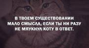 т.jpg