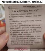 как_искупать_кошку.jpg